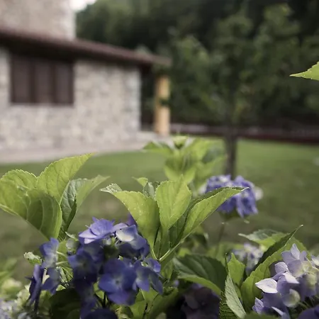 Apartment Baite Palumbosila