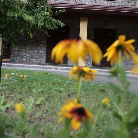 Baite Palumbosila Apartment