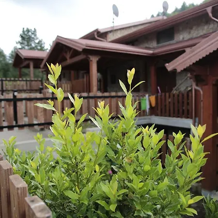 Baite Palumbosila Apartamento