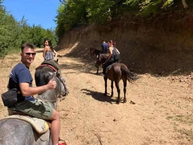 Baite Palumbosila Apartamento *